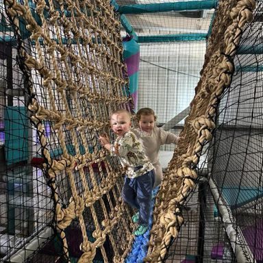 things to do in cheshire for families